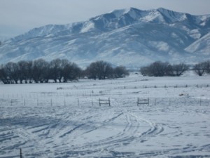 img_01261
